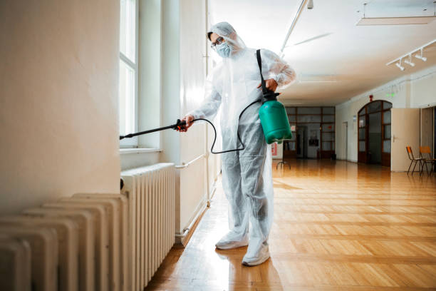 Best Fumigation Services  in Gold Hill, OR